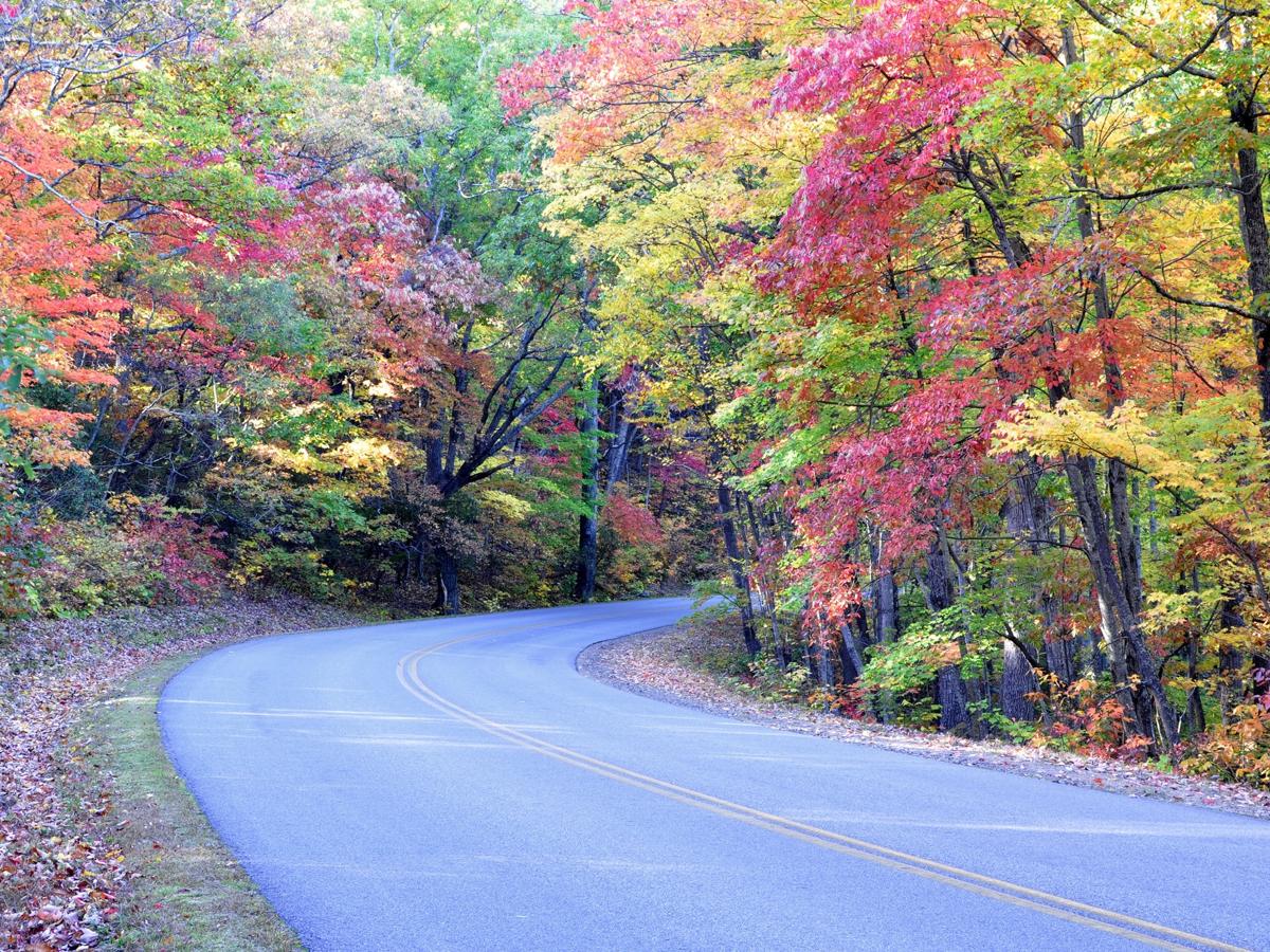 Blue Ridge Parkway autumn