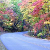 A look into road trips that showcase the scenic routes and rich heritage of the Southern United States.