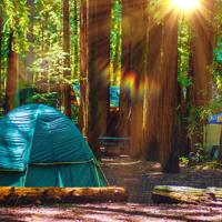 Redwood National Park camping