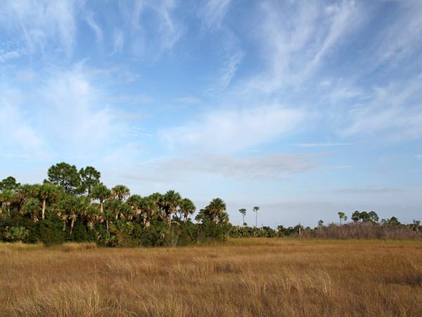 Everglades National Park