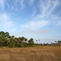 Everglades National Park