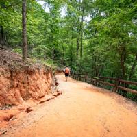 Hiker in Lumpkin, Georgia